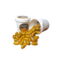 hallo Kurma RUTHOB LIBYA Kemasan EMBER 880GR// kurma muda kuning/exp 2026