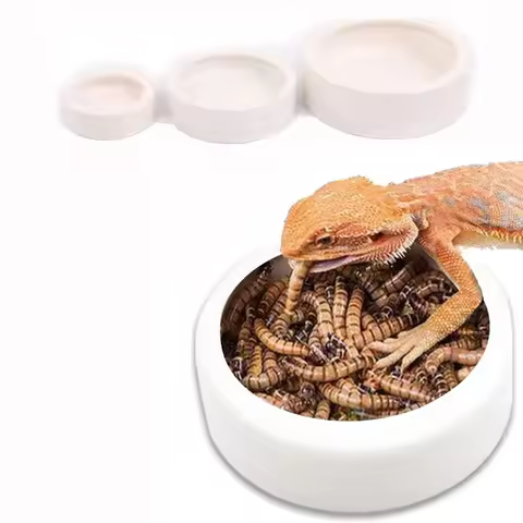 Reptile Water Food Bowl Anti-Escape Ceramic Feeder Dish for Lizard Hermit Gecko Chameleon Corn Snake