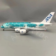 New Planes Air Ana A380 Cartoon Sea Turtle Airlines Model Plane Collectible Aircraft 380 Air Japan A