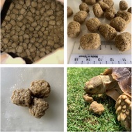 ✴Tortoise Pellets Mazuri 5M21 1kg马祖瑞5M21陆龟粮 Makanan Kura-Kura Mazuri☀