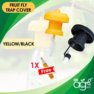 AgroBuddy Penutup Botol Perangkap Lalat Buah Feromon | Fruit Fly Trap Pheromone Attractant Cover 果蝇诱