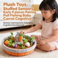 Sensory 24 toys Carrot Pulling Stuffed Early Edu Pairing Fishing Toys Number plush Cognitive