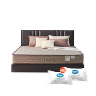 Dream Tree ที่นอนสปริงเสริมฟองน้ำ นุ่ม เด้ง หนา 9 นิ้ว รุ่น Peony (สีทอง) [แถมฟรี! หมอนหนุน]