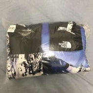 Supreme x The North Face 雪山 羽絨