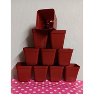 (murahhh sangattttt‼️) 10 pcs/10 biji Pasu kecil plastik size 7x7cm