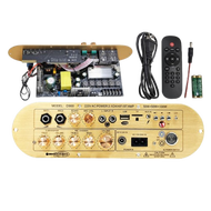 【COD จัดส่งที่รวดเร็ว】แอมป์จิ๋ว ด้วยแก้วใยนำแสงGD100 220V 12V 24V 1200W/1000W Bluetooth 5.0เครื่องขย