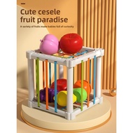 Baby Early Education 9 Young