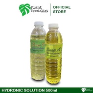 Hydroponic Solution