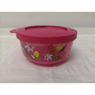 Illumina Tumbler Bottle and Desert Box