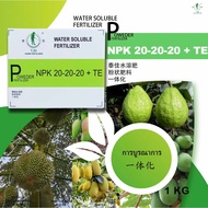 TJN WATER SOLUBLE FERTILIZER NPK 20-20-20 + TE -1KG