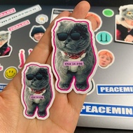 Kwon Zhilong 2025 Stickers zoa GDragon Cat Cat Cute Stickers Emoticon Pack Mobile Phone Stickers Lug