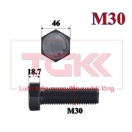 Bolt 8.8 M30 (180-300mm)