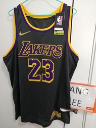 Nike Lebron James LBJ Lakers jersey earned edition