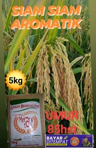 benih padi unggul SIAM SIAM 5kg pandan wangi