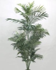 【花宴】人造樹＊6尺 叢生袖珍椰子樹 ＊適合居家佈置~會場景觀~造景佈置