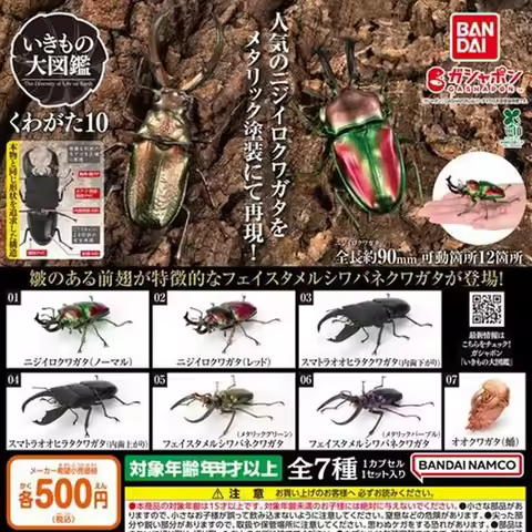 Bandai Genuine Biological Encyclopedia Gashapon Toys Stag Beetle 10 Phalacrognathus Muelleri Simulat