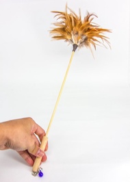 挪威森林  友善逗貓棒