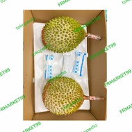 Durian Musang King Nitro Utuh Beku Malaysia Original | 1 pcs