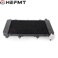Suitable for 04-10 Yamaha FZ6 FZ6N FZ6S FZ600 Cooling Radiator Water Tank Assembly