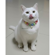 MOONRIX Sweet Colourful Candy Pet Necklace Cats | Handmade Collar with Bell