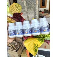 Salmon fish oil | Fish Oil