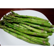 🌹SEED🔥 BIJI BENIH ASPARAGUS SEED 3