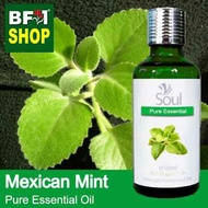 Pure Essential Oil (EO) - Mint - Mexican Mint ( Plectranthus Socotranum ) Essential Oil - 50ml