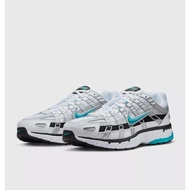 P-6000 Dusty Cactus9