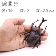 Simulation Beetle Model Toy Insect Unicorn Beetle Beetle Beetle Beetle Children Cognitive Gift