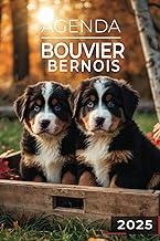 Agenda 2025 - Bouvier bernois: Journalier | 2 jours par page | Format A5 | Couverture Souple | 194 p