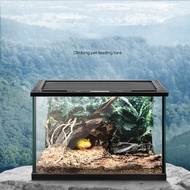 Cherlam 2.6 Gal 9.8 L Crested Gecko Habitat Tortoise Terrarium Glass Tank Turtle Rter Kit