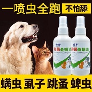 Penyahcacingan Anjing Penyahcacingan Haiwan Peliharaan Kutu Kutu Kutu Penyahcacingan Luaran Anak Kuc