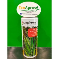 👉ASLI👈🏻Benih Crop Power Bendi OK 10 Ten Brothers 200 gm