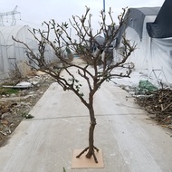 Natural Shaped Dead Tree Decoration Dead Trunk Branch Photography Props Tree Solid Wood Trunk Branch