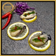 Oyster Meat (500G) - Supreme Frozen