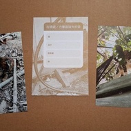 Cat Postcard 貓攝影明信片 一組三款 貓咪 屋頂上 土地上 黑洞裡