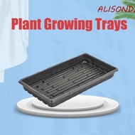 ALISONDZ 10Pcs Seed Propagation Tray, Plastic Durable Plant Growing Trays, Sprout Hydroponic Systems No Holes 550x285x60mm Reusable Nursery Potted Seedling Trays Soil