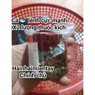 Fishing bait 1 box of ant egg scent 50g