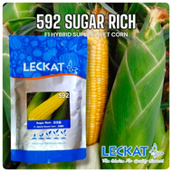 Paket 500g SUGAR RICH 592 Leckat Seeds Biji Benih Jagung Manis F1 Hybrid Sweet Corn Seeds Ready Stoc