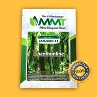 BENIH PARE – TANJUNG 11 - MMT