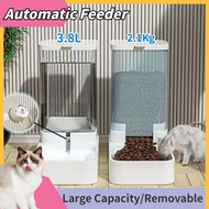 【COD&amp;Ship in 24h】3.8L Pet Automatic Feeder Dog Cat Water Dispenser 2.5kg Food Storage Container Cat Accessories