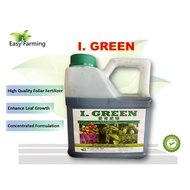 I - GREEN 4 Liter 11-8-6 + TE  / Foliar Fertilizer/ Baja Foliar Daun seperti Bayfolan