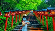 Tour Kyoto 1 ngày | Đền Kifune & Rừng tre Arashiyama & Sanzen-in | Tản bộ Kyoto | Đoàn 4 người (Khởi