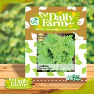 Daily Farm - Benih bibit Lettuce selada New Grand Rapid