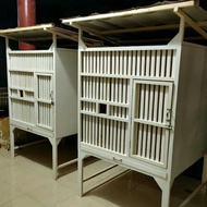 Kandang ayam bangkok kayu