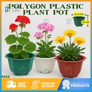Wintop Polygon Garden Pot 31.5x25cm Big Durable Plant Pot Makapal Paso for Indoor & Outdoor Plants