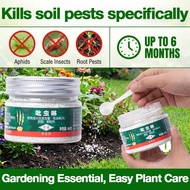 imidacloprid racun serangga | Soil Insecticide for Succulents & Flowers | Systemic Control for Mealy