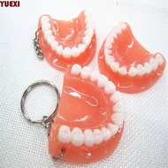 YUEXI Teeth Pendant Creative Dental Accessories Upper Jaw Teeth Shape Resin Teeth Keyring