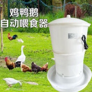 廠家出貨飼料桶養雞設備用品自動下料桶家禽餵食器雞鴨鵝用養殖加厚雞料桶餵食器餵水器飲水器喝水器