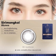 คอนแทคเลนส์ Mutelu(Siri Mongkol) สายตาปกติ/สายตาสั้น